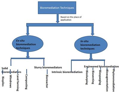 Bioremediation techniques as affected by limiting factors in soil environment